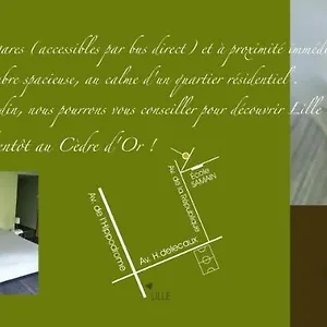 Au Cèdre D'or Couette-café Lambersart
